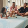Mattress Dogzzz gallery