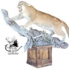 Tony's Taxidermy gallery