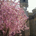 Court Street United Methodist Church