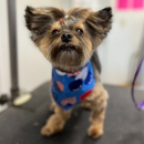 Tumbleweed Country Kennel - Pet Services