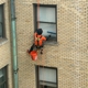 Squeegee Squad of Louisville-Frankfort, KY