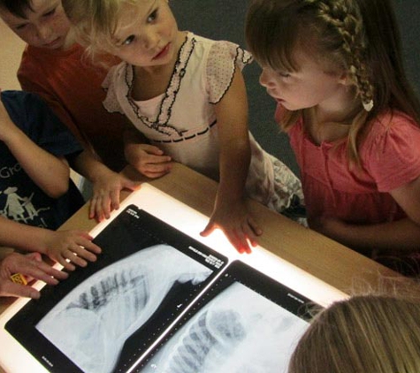 Highland Grove Preschool - Green Point, NSW