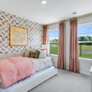 Forestville Station - Taylor Morrison - Home Builders