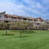 The Beachfronter gallery