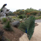 Los Angeles County Arboretum