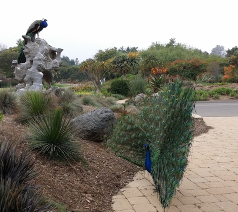 Los Angeles County Arboretum - Arcadia, CA