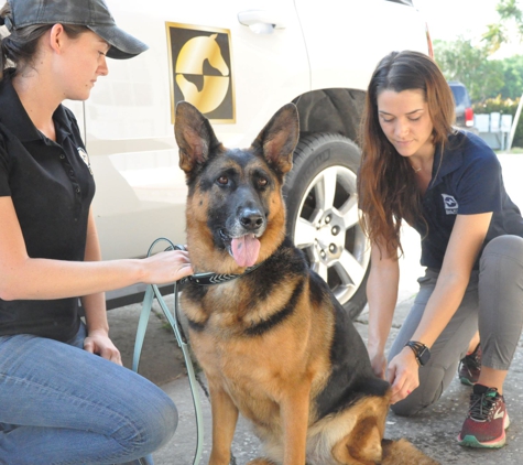 Palm Beach Equine Clinic - Wellington, FL