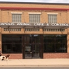 Minneapolis Animal Care and Control gallery