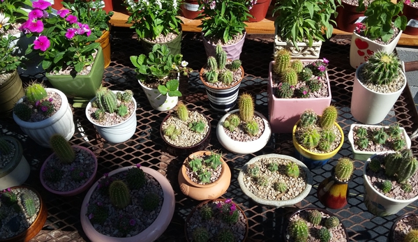 Valley Verde Nursery & Landscaping - Phoenix, AZ