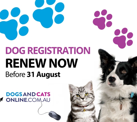Mount Gambier Visitor/ Event Information - Mount Gambier, SA