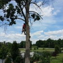 Shade Shifters Tree Removal - Landscaping & Lawn Services
