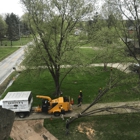 Schades Tree Service
