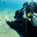Fathom Five Divers - Diving Instruction