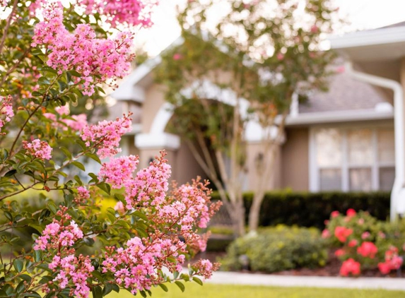 Clean Cut Landscape - Kenner, LA