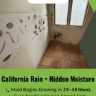 Guaranteed Property and Mold Inspection