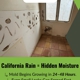 Guaranteed Property and Mold Inspection