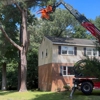 Marshall's Tree Service gallery