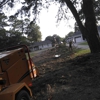 East Coast Trimmers Tree Service gallery