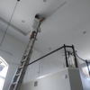 The Painter gallery