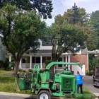 Stringfellow's Tree Service