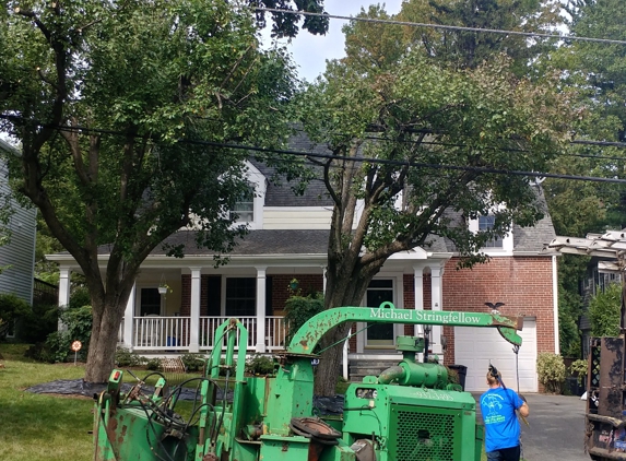 Stringfellow's Tree Service - Amissville, VA