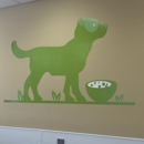 Dog Haus University - Dog Day Care