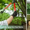 Lobo Tree Service gallery