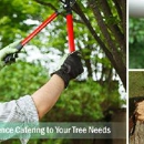 Lobo Tree Service - Tree Service