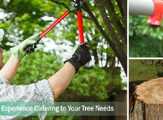 Lobo Tree Service - Longview, TX