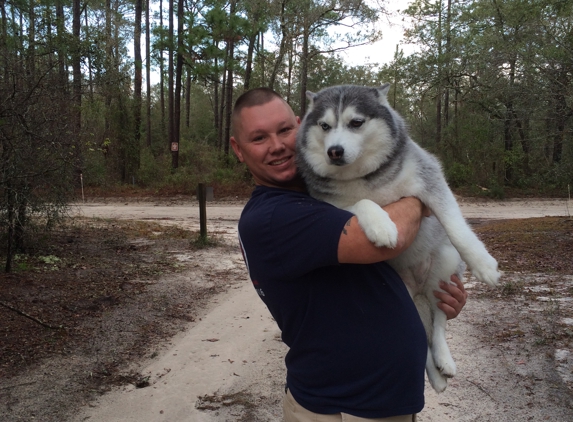 All Creatures Animal Hospital - Naples, FL