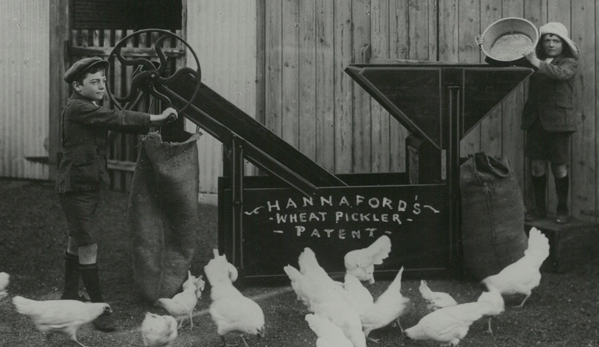 Paul Thaxter - Hindmarsh, WA