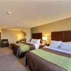 Comfort Inn Edinburg South