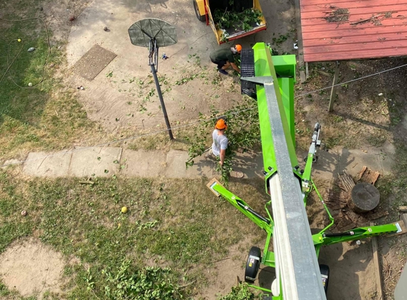 T & T Tree Service