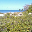 Emerson Point Preserve - Parks