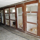 Pegasus Woof & Purr Kennel - Pet Boarding & Kennels