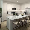 The Palo | Townhomes for Rent gallery