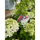 King's Gardens - Garden Centers