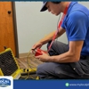 My Local Plumber Water Heater Repairs and Leak Detection gallery
