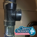 Cherry Blossom Plumbing - Water Heaters