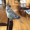 Schroon River Animal Hospital gallery