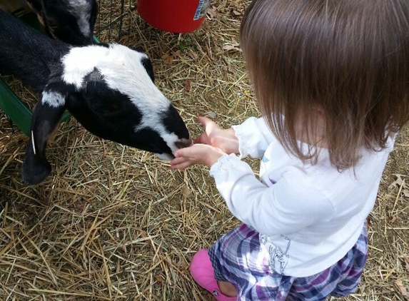 Apple Jack Orchards - Delano, MN