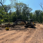 King's Logging & Tree Service