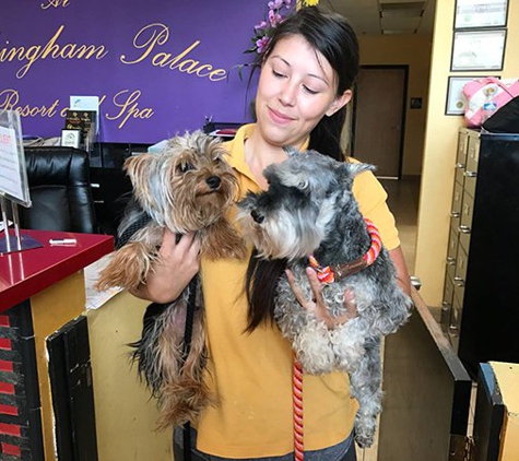 Barkingham Pet Hotel Palm Desert - Palm Desert, CA