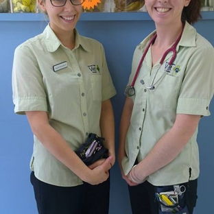 Burvale Heights Vet Hospital - Forest Hill, VIC