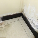 Ace Mold Remediation Irving - Mold Remediation