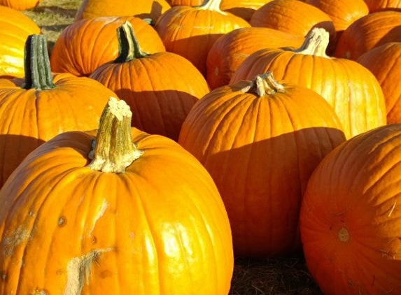 Stuart's Fruit Farm - Granite Springs, NY