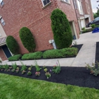 Golden Oak Landscaping