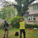 Steven's Tree Experts - Tree Service