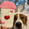 Doggie Sweets gallery