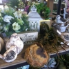 Sofie's Florist gallery
